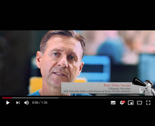 Prof. Fabio Verzini